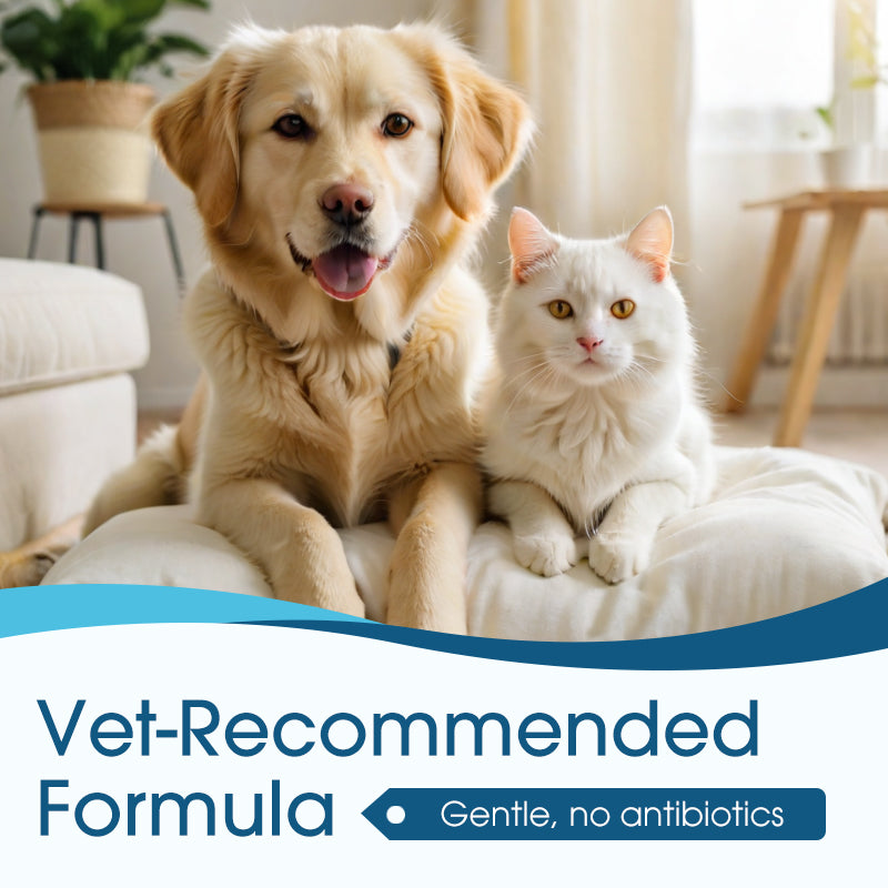 🐶🐱 Ohrenreiniger | Lindert Juckreiz bei Hunden und Katzen 👂