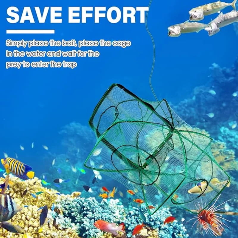 🚨 50 % RABATT! 🚨 Automatisch einklappbarer Kescher für Angler – verstärktes Nylon, handlicher Kescher mit ausziehbarem Griff 🎣✨