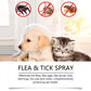 💥 2+1 GRATIS!!💥 🎁 Natürlicher Lopp- & Fästingspray 🐶🐱 schützt effektiv & schonend 🌿🐾