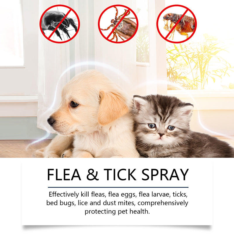 💥 2+1 GRATIS!!💥 🎁 Natürlicher Lopp- & Fästingspray 🐶🐱 schützt effektiv & schonend 🌿🐾