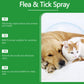 💥 2+1 GRATIS!!💥 🎁 Natürlicher Lopp- & Fästingspray 🐶🐱 schützt effektiv & schonend 🌿🐾