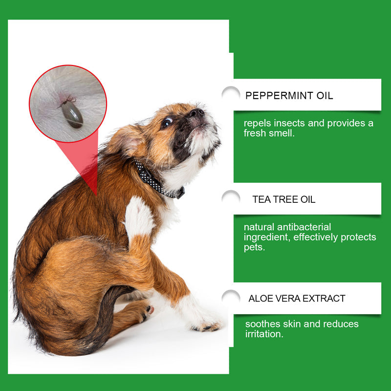 💥 2+1 GRATIS!!💥 🎁 Natürlicher Lopp- & Fästingspray 🐶🐱 schützt effektiv & schonend 🌿🐾