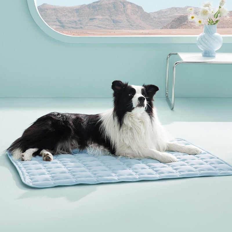 📢📢50 % Rabatt!! 🐾❄️ Kühlmatte für Hunde & Katzen – Leicht zu reinigen, kratzfest & ungiftig 🏠💚