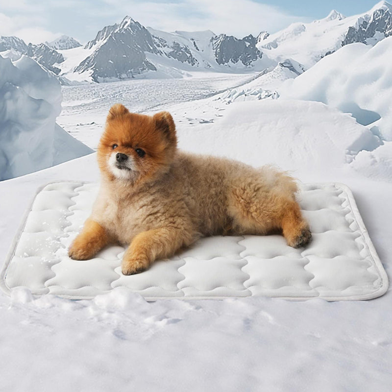 📢📢50 % Rabatt!! 🐾❄️ Kühlmatte für Hunde & Katzen – Leicht zu reinigen, kratzfest & ungiftig 🏠💚