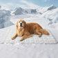 📢📢50 % Rabatt!! 🐾❄️ Kühlmatte für Hunde & Katzen – Leicht zu reinigen, kratzfest & ungiftig 🏠💚