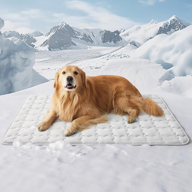 📢📢50 % Rabatt!! 🐾❄️ Kühlmatte für Hunde & Katzen – Leicht zu reinigen, kratzfest & ungiftig 🏠💚