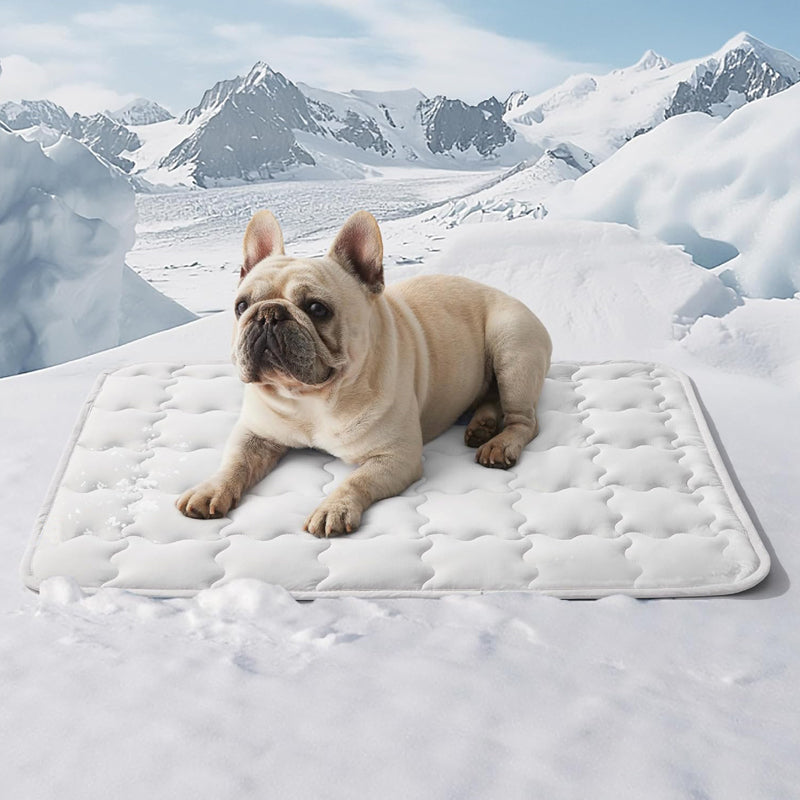 📢📢50 % Rabatt!! 🐾❄️ Kühlmatte für Hunde & Katzen – Leicht zu reinigen, kratzfest & ungiftig 🏠💚
