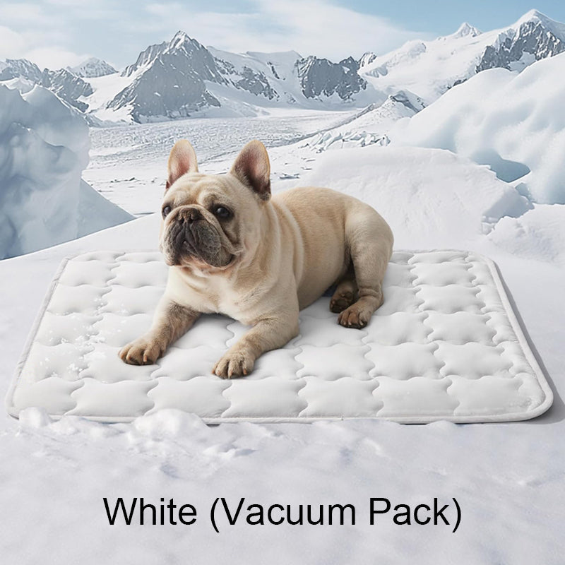 📢📢50 % Rabatt!! 🐾❄️ Kühlmatte für Hunde & Katzen – Leicht zu reinigen, kratzfest & ungiftig 🏠💚