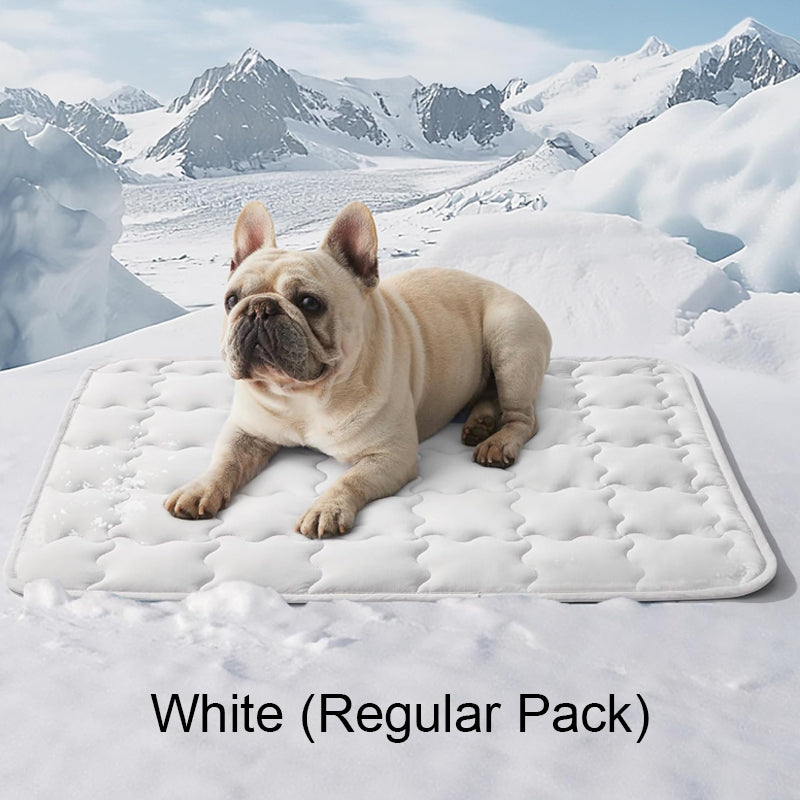 📢📢50 % Rabatt!! 🐾❄️ Kühlmatte für Hunde & Katzen – Leicht zu reinigen, kratzfest & ungiftig 🏠💚
