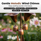 📢📢50 % Rabatt!!🥳🌷Gartenstecker aus geflammtem Kupfer mit drei Calla-Lilien und Glöckchen