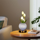 🌷 Elegante Tulpenstrauß-Lampe – Romantisches Nachtlicht für eine warme Wohnatmosphäre