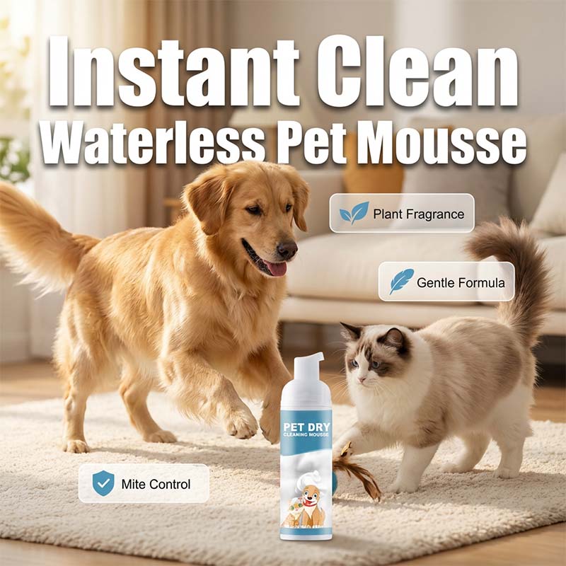 ⏰50% Rabatt für kurze Zeit🐶🐱Wasserloser Reinigungsschaum für Hunde und Katzen
