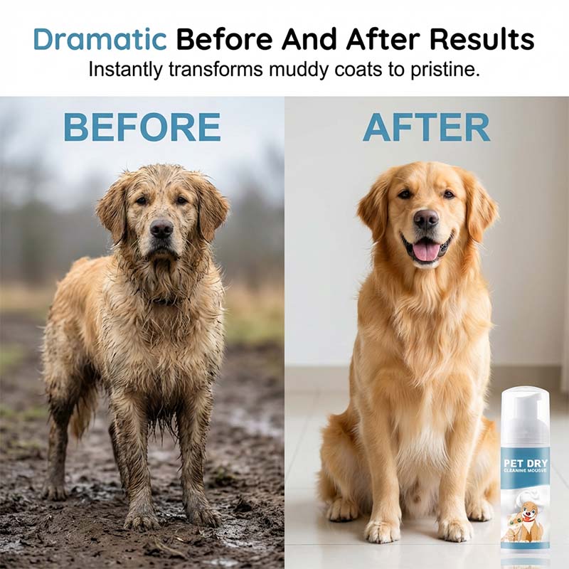 ⏰50% Rabatt für kurze Zeit🐶🐱Wasserloser Reinigungsschaum für Hunde und Katzen