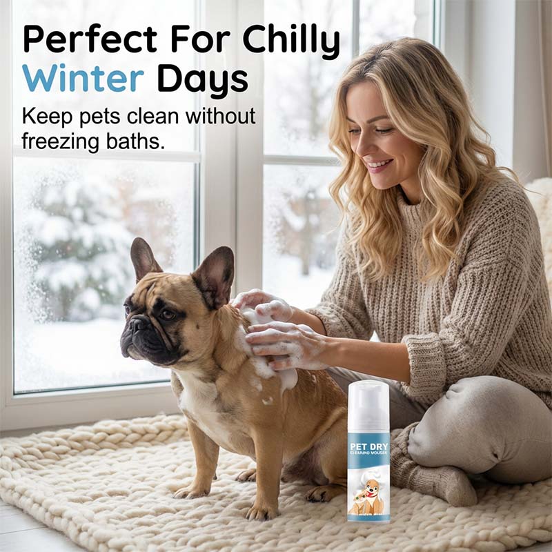 ⏰50% Rabatt für kurze Zeit🐶🐱Wasserloser Reinigungsschaum für Hunde und Katzen