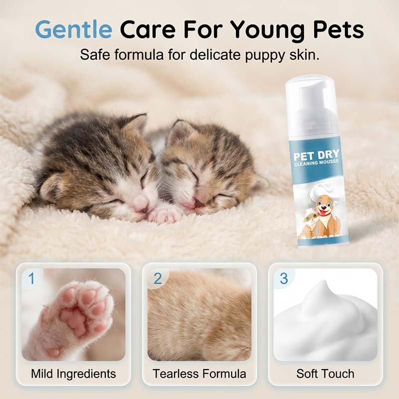 ⏰50% Rabatt für kurze Zeit🐶🐱Wasserloser Reinigungsschaum für Hunde und Katzen