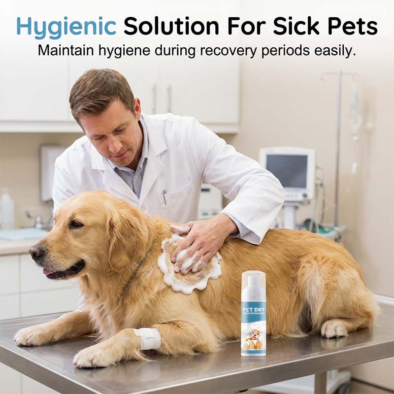 ⏰50% Rabatt für kurze Zeit🐶🐱Wasserloser Reinigungsschaum für Hunde und Katzen