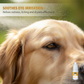 Gentle Pet Augentropfen