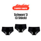 🌸KAUFE 5 UND ERHALTE 5 GRATIS 🌸2026 Neueste High Waist Leak proof Höschen