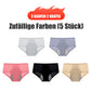 🌸KAUFE 5 UND ERHALTE 5 GRATIS 🌸2026 Neueste High Waist Leak proof Höschen