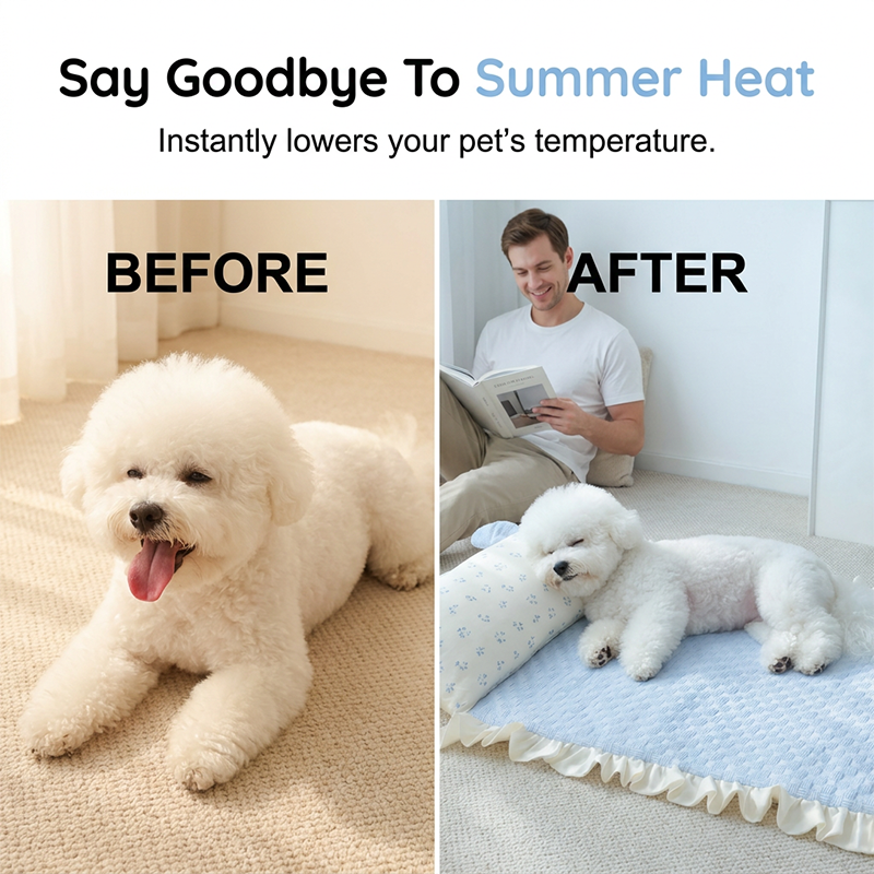 💥💥 Sommer-Bestseller 🐱🐶 Kühlendes Kissen und Matte für Haustiere 🛌