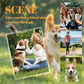 🏆 1 kaufen, 1 gratis! Ab nur 3,99 € pro Stück! 🐶🐾 Mein Haustier-Schlüsselanhänger – Personalisierbar | Perfektes Geschenk für Tierliebhaber