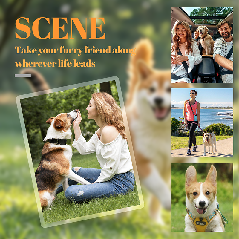 🏆 1 kaufen, 1 gratis! Ab nur 3,99 € pro Stück! 🐶🐾 Mein Haustier-Schlüsselanhänger – Personalisierbar | Perfektes Geschenk für Tierliebhaber
