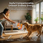 📰🐶 Interaktives Zeitung-Kauspielzeug für Hunde – realistisches Zeitungsdesign | Sicher & extrem abriebfest, unterstützt die Zahngesundheit Ihres Hundes🦷