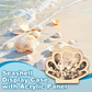 🐚 JETZT 50% RABATT! ✨ Muschel-Vitrine mit Acrylscheibe – Transparent & staubdicht – Perfekt für Sammlungen, Basteln oder Souvenirs – Elegante Tisch- oder Regaldekoration 🏖️🌟