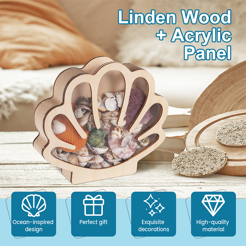 🐚 JETZT 50% RABATT! ✨ Muschel-Vitrine mit Acrylscheibe – Transparent & staubdicht – Perfekt für Sammlungen, Basteln oder Souvenirs – Elegante Tisch- oder Regaldekoration 🏖️🌟