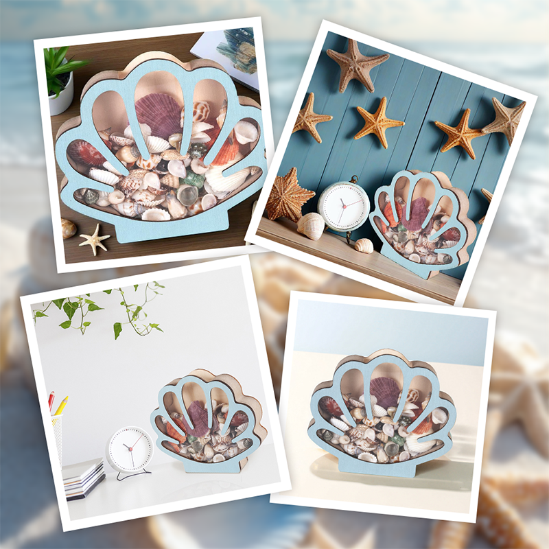 🐚 JETZT 50% RABATT! ✨ Muschel-Vitrine mit Acrylscheibe – Transparent & staubdicht – Perfekt für Sammlungen, Basteln oder Souvenirs – Elegante Tisch- oder Regaldekoration 🏖️🌟