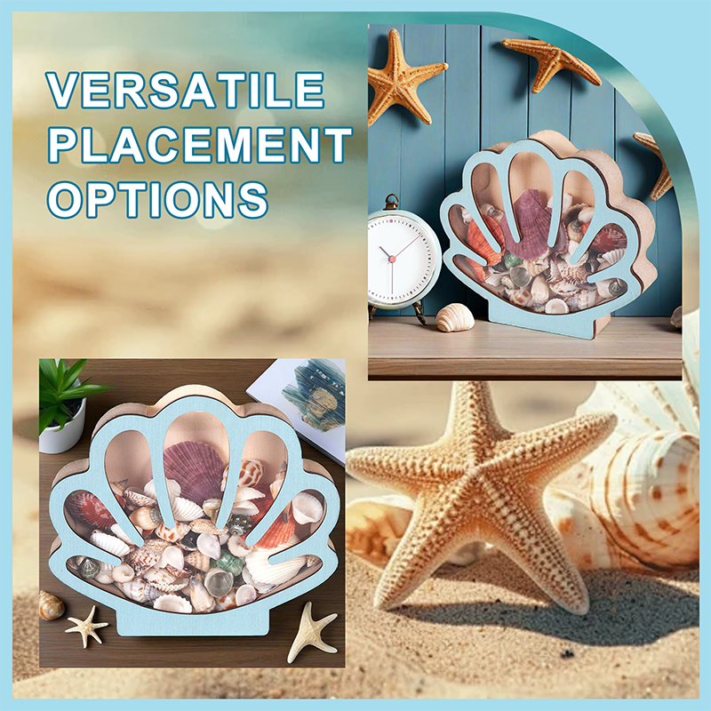 🐚 JETZT 50% RABATT! ✨ Muschel-Vitrine mit Acrylscheibe – Transparent & staubdicht – Perfekt für Sammlungen, Basteln oder Souvenirs – Elegante Tisch- oder Regaldekoration 🏖️🌟