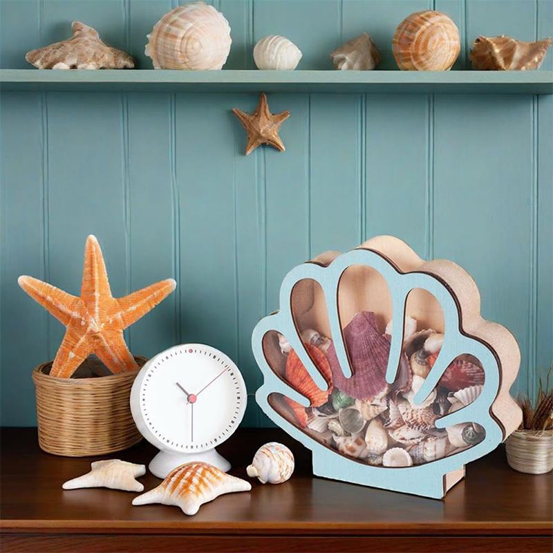 🐚 JETZT 50% RABATT! ✨ Muschel-Vitrine mit Acrylscheibe – Transparent & staubdicht – Perfekt für Sammlungen, Basteln oder Souvenirs – Elegante Tisch- oder Regaldekoration 🏖️🌟