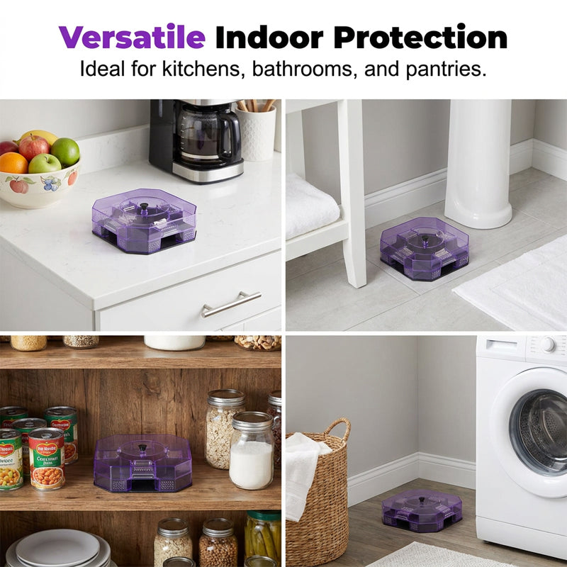 📢📢50 % Rabatt!! ⏰ ab 4,99 € pro Stück!! 🚫 Wiederverwendbare, leistungsstarke Kakerlakenfalle