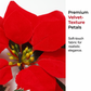 🎄 Weihnachts‑Poinsettia‑Lichterkette, bunte Weihnachtsstern‑Blumen‑LED‑Lichterkette für Dekoration, Innen‑ und Außeneinsatz