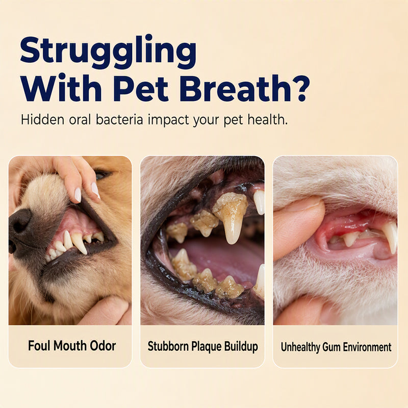 🐶🐱 50 % RABATT JETZT! 🌿 Atemfrischespray für Hunde und Katzen
