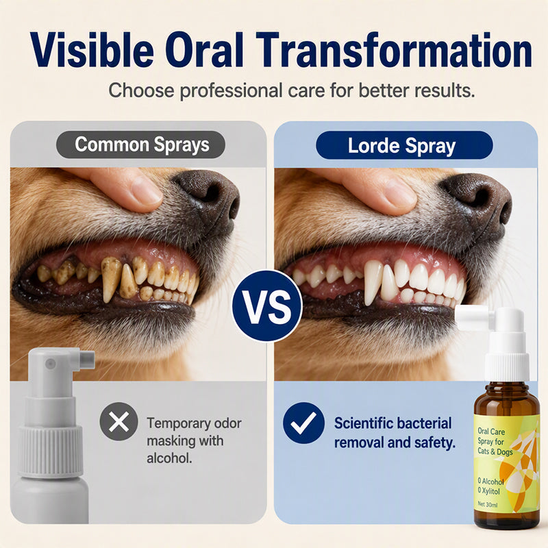 🐶🐱 50 % RABATT JETZT! 🌿 Atemfrischespray für Hunde und Katzen