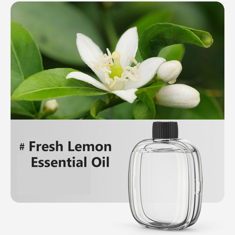 📢📢50 % RABATT! ⏰🎶 Automatischer Aromatherapie-Diffusor – Feiner Nebel, programmierbarer Timer und LED-Licht, ideal für Schlafzimmer und Büros 🌿💡