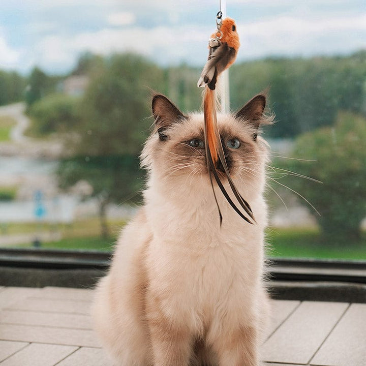 🔥50 % Rabatt! 🐦Interaktives Saugnapf‑Vogel Katzenspielzeug - Für eine glückliche und aktive Katze den ganzen Tag🐱