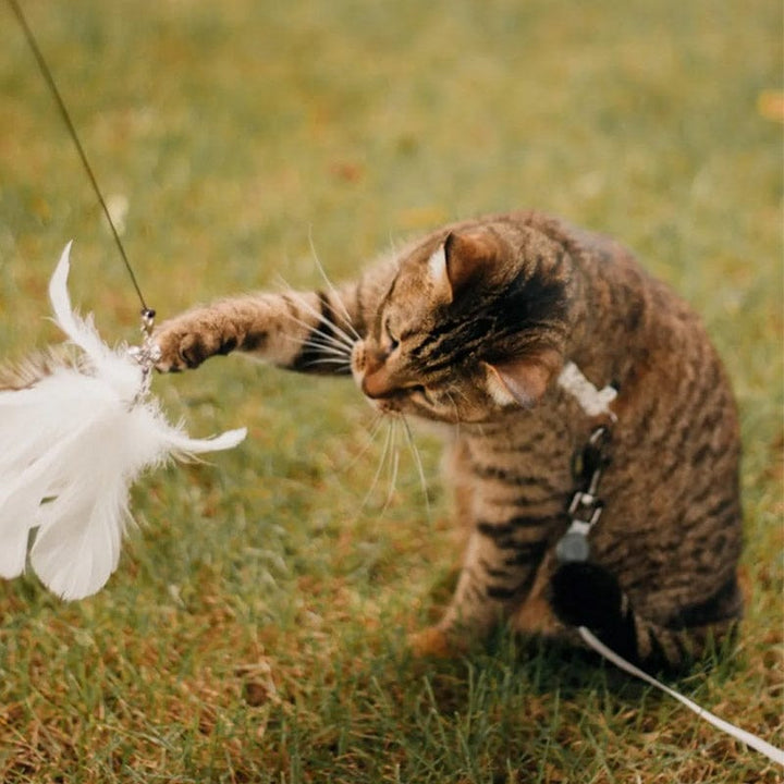 🔥50 % Rabatt! 🐦Interaktives Saugnapf‑Vogel Katzenspielzeug - Für eine glückliche und aktive Katze den ganzen Tag🐱