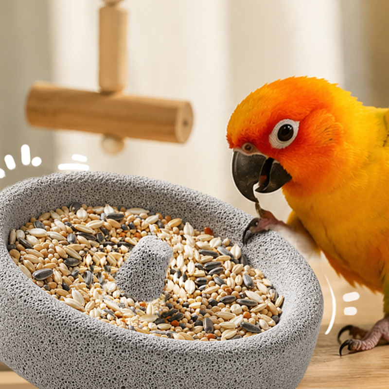 🐦2‑in‑1 Vogelfutterschale aus Vulkanstein | Futterschale mit Schnabel‑Schleiffunktion