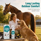 🌿 Natural Pet Parasite & Insect Repellent Spray