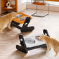 🍽️ 50% RABATT! 🐾 Höhenverstellbarer ergonomischer Futternapf – Verstellbar, rutschfest & gesündere Haltung für Hunde & Katzen 🐕