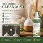 🔥🎁 2+1 GRATIS!!🥳💞 50K+ VERKAUFT! ⚡🧼Tiefen‑Reinigungsspray für Aroma‑Diffusoren
