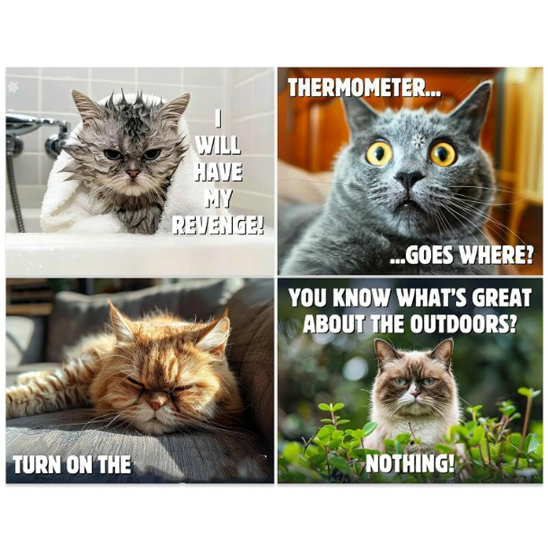 🐱 Lustiger Katzenkalender – 12 Monate frecher Katzenhumor