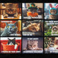 🐱 Lustiger Katzenkalender – 12 Monate frecher Katzenhumor