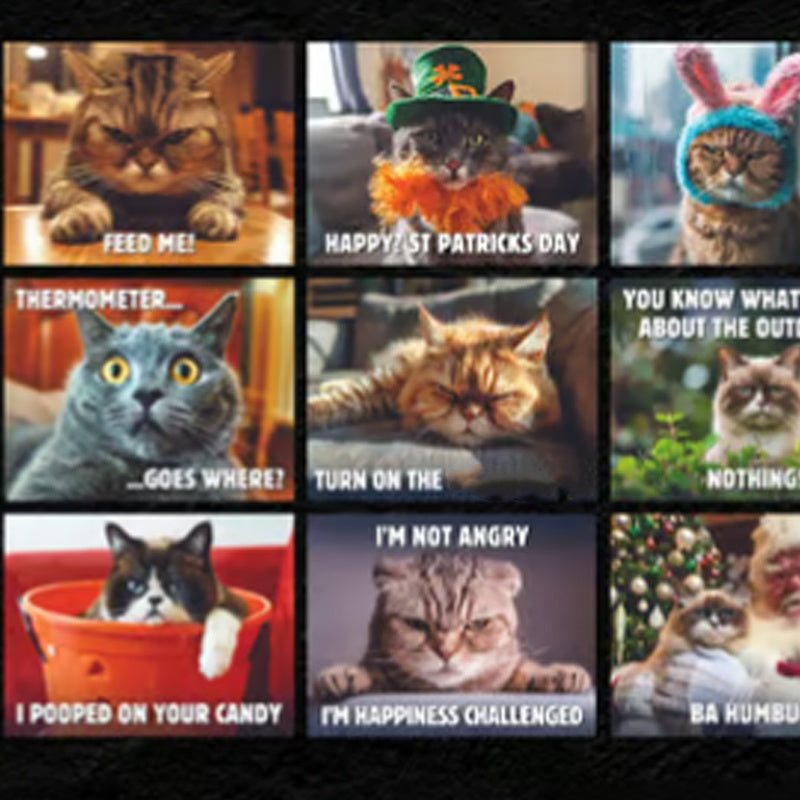 🐱 Lustiger Katzenkalender – 12 Monate frecher Katzenhumor