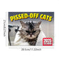 🐱 Lustiger Katzenkalender – 12 Monate frecher Katzenhumor