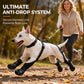 ⏰🐕Heißer Sale 50% RABATT💦 Wasserdichte Anti-Drop-Hundeschuhe mit verstellbarem Geschirr und Hosenträger