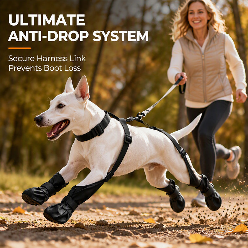 ⏰🐕Heißer Sale 50% RABATT💦 Wasserdichte Anti-Drop-Hundeschuhe mit verstellbarem Geschirr und Hosenträger