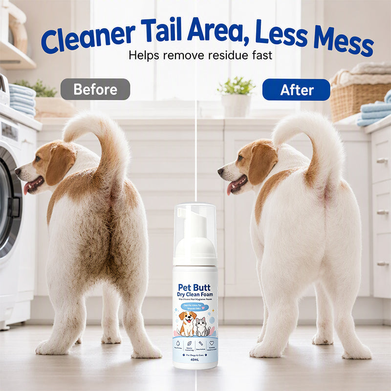 🔥 2+1 GRATIS!!🧼Trockenreinigungsschaum für den Po von Hunden und Katzen – kein Abspülen erforderlich